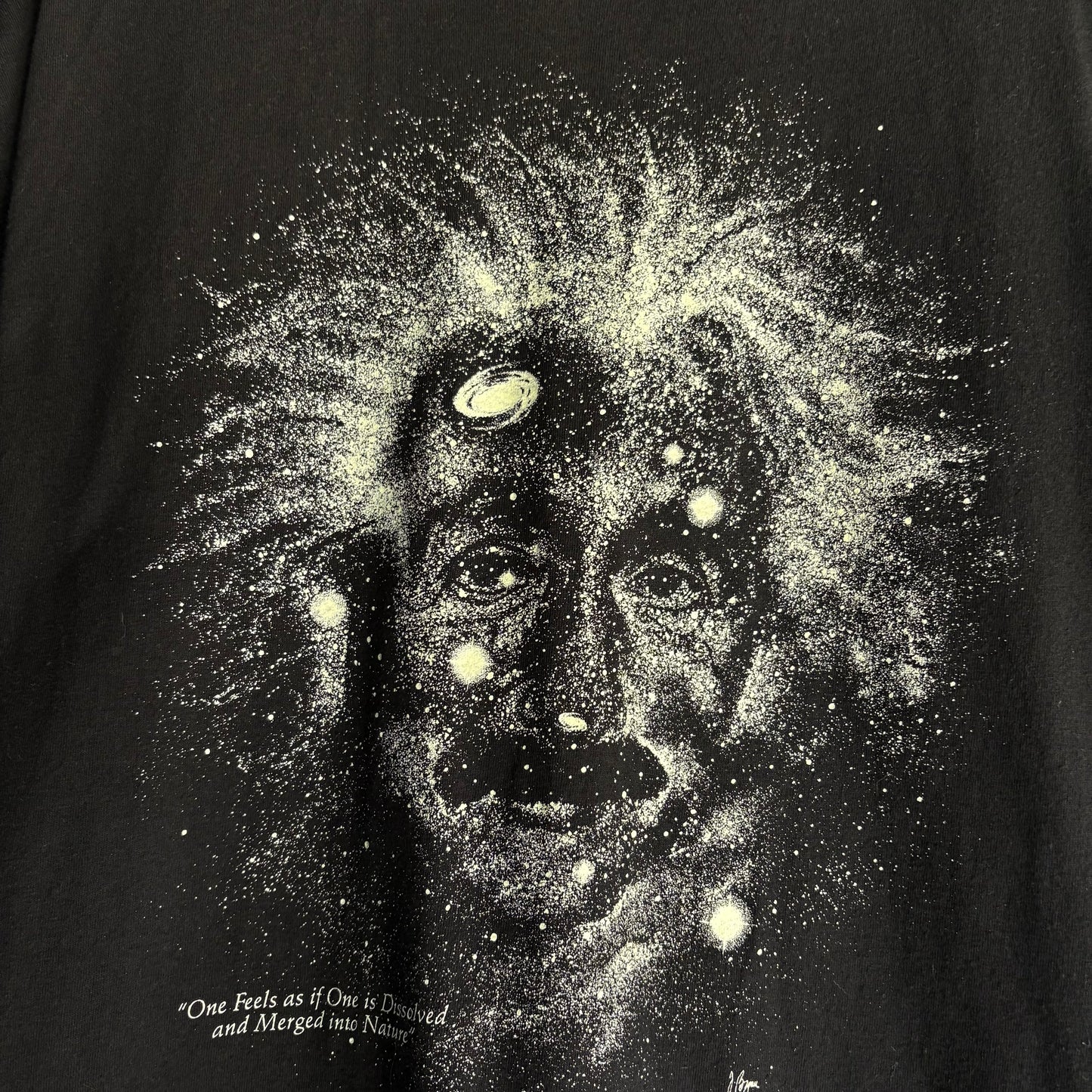Playera Cotton Expressions Para Hombre Talla XL Color Negra Albert Einstein