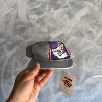 Coleccion de Gorras Vintage De Exclusivos Baez Looney Tunes De Hombre De Piel