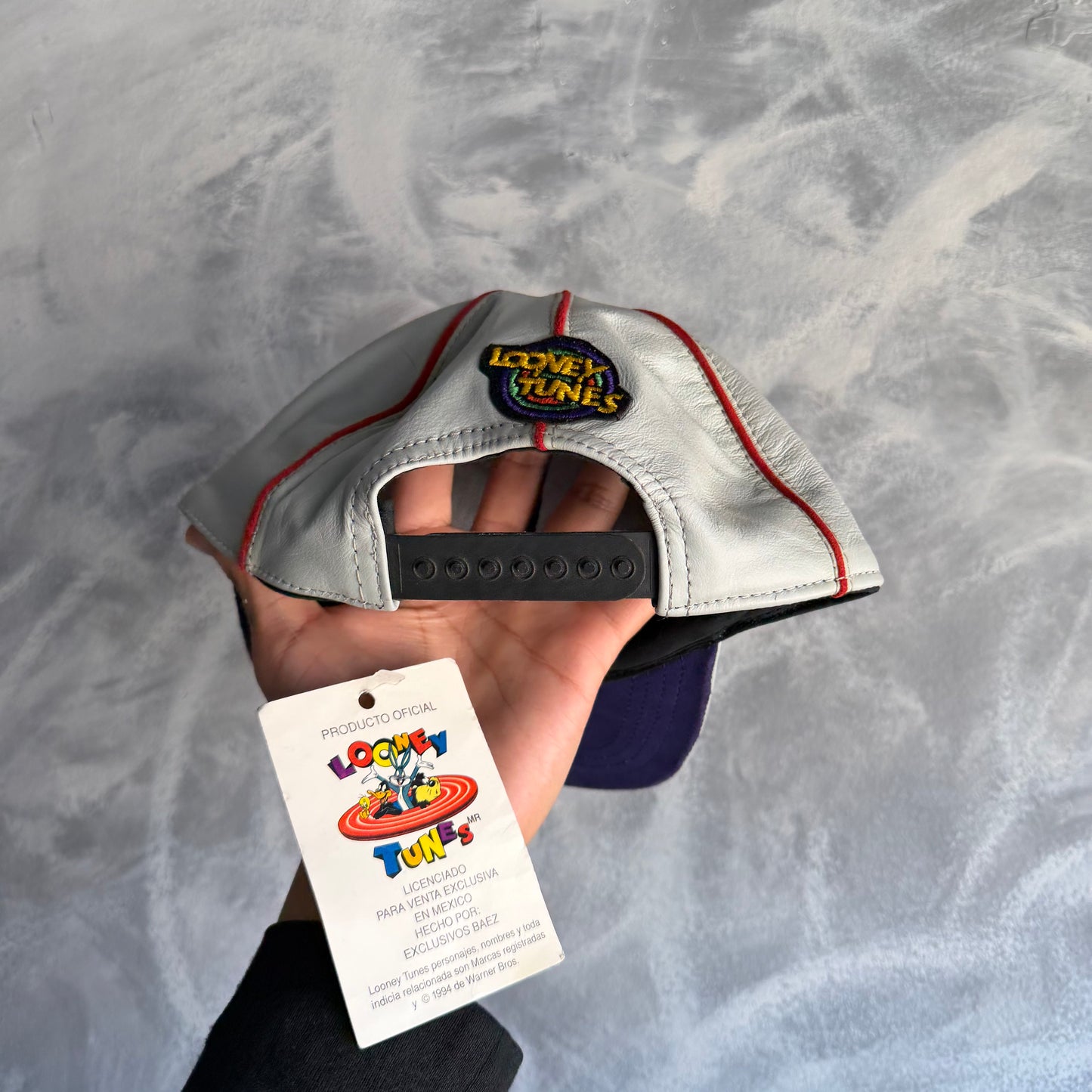 Coleccion de Gorras Vintage De Exclusivos Baez Looney Tunes De Hombre De Piel